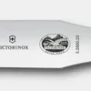 Spatule Wood